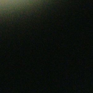 Meet your Posher, Elli